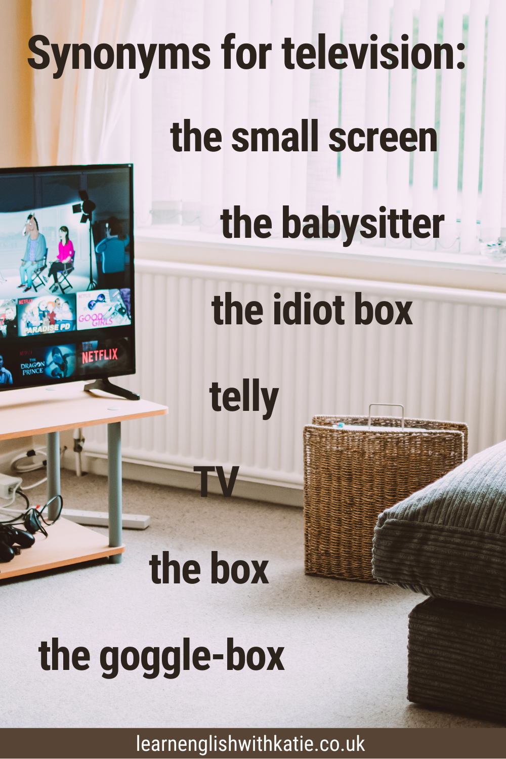 Pinterest infographic showing synonyms for TV