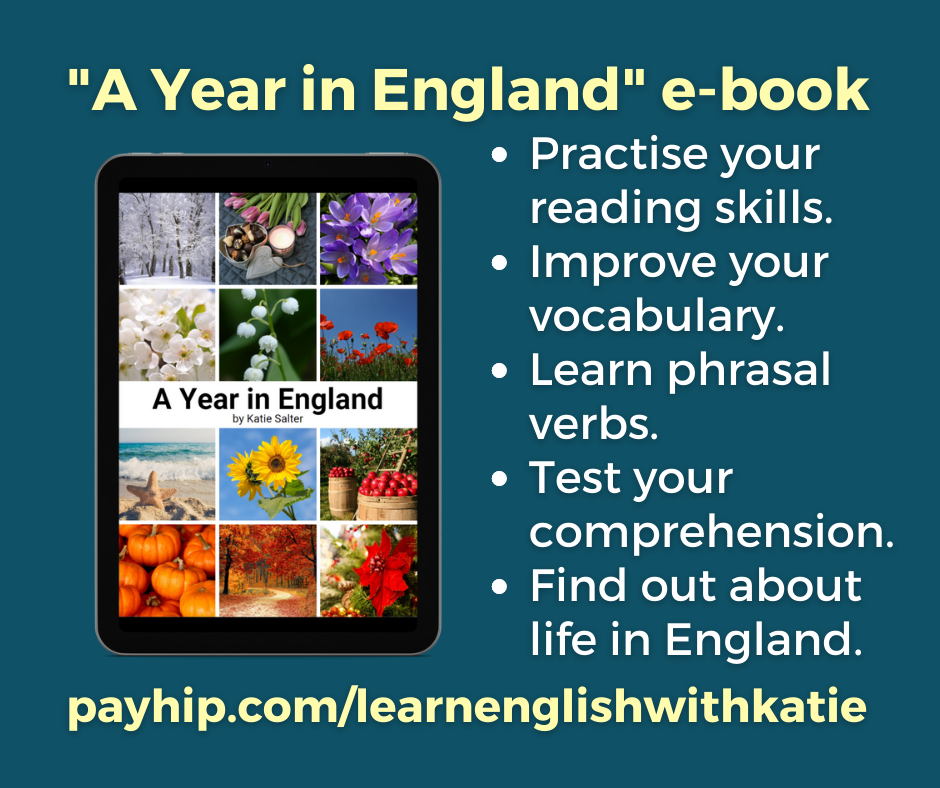 Advertisement for Year in England ebook.