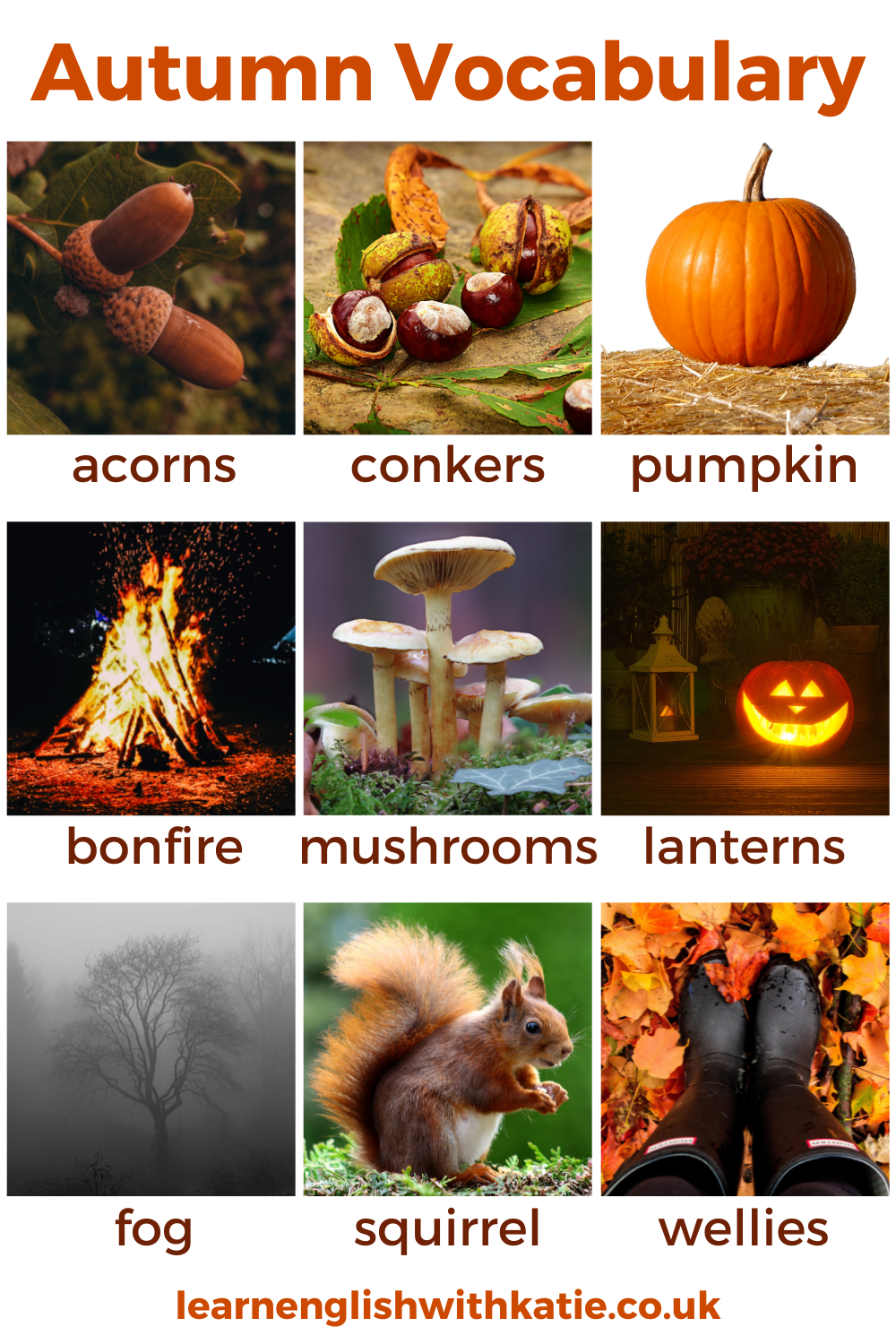 Picture dictionary of autumn words from the text.