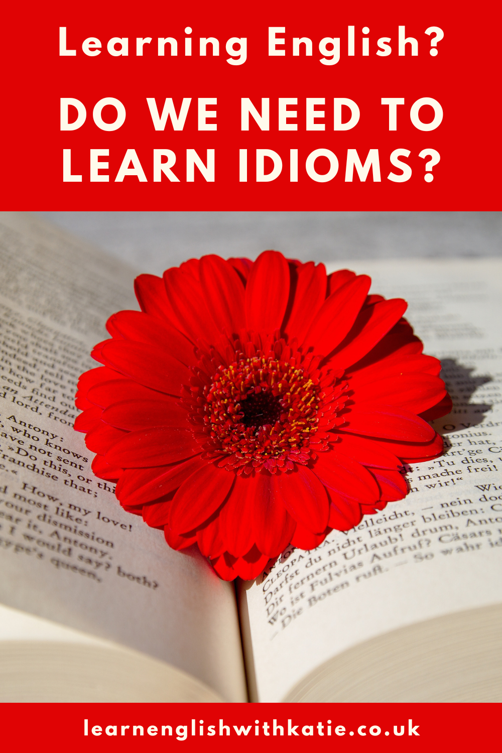 Pinterest pin showing image of a book with a red flower