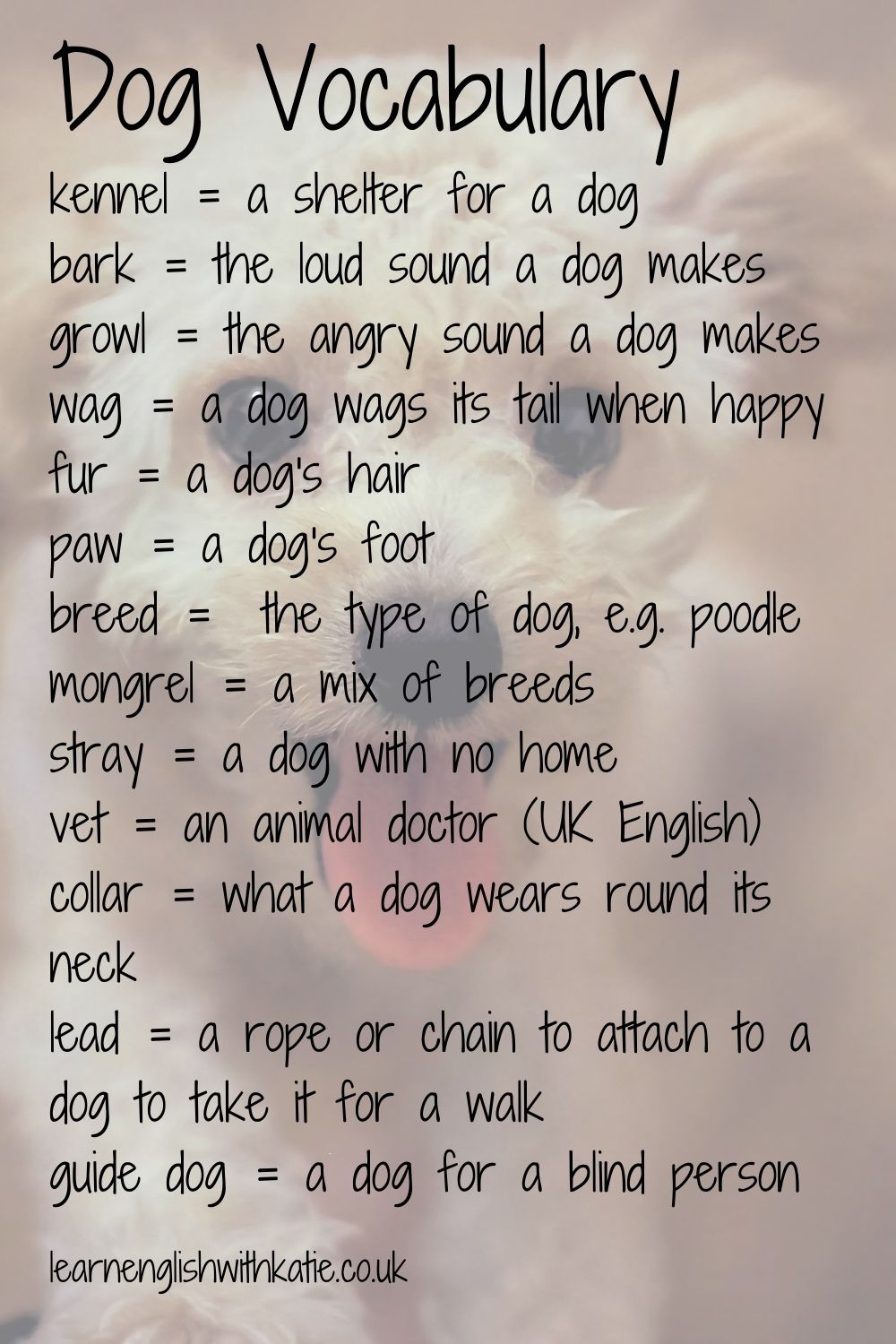 Pinterest pin showing an image of a dog and a list of dog vocabulary