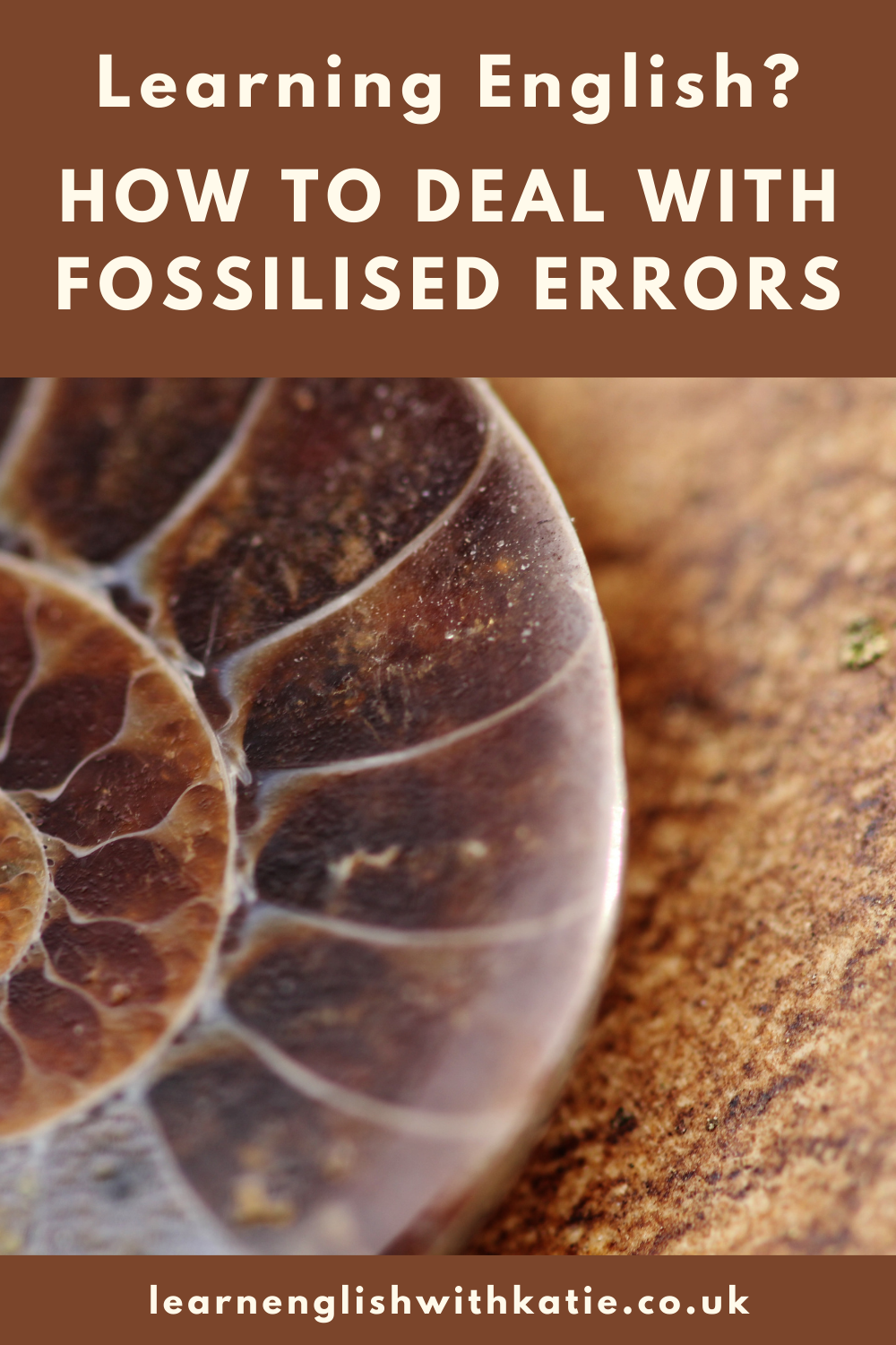 Pinterest pin showing image of a fossil