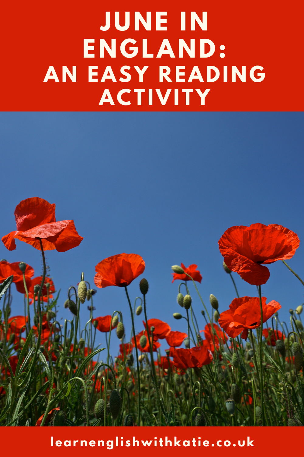 Pinnable image featuring red poppies
