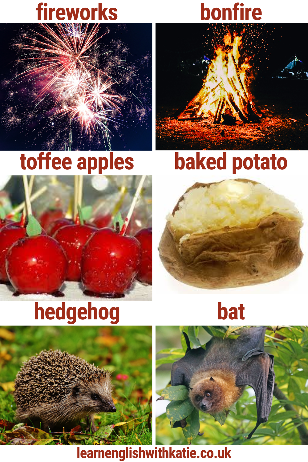 Picture dictionary showing fireworks, bonfire, toffee apples, baked potato, hedgehog, bat