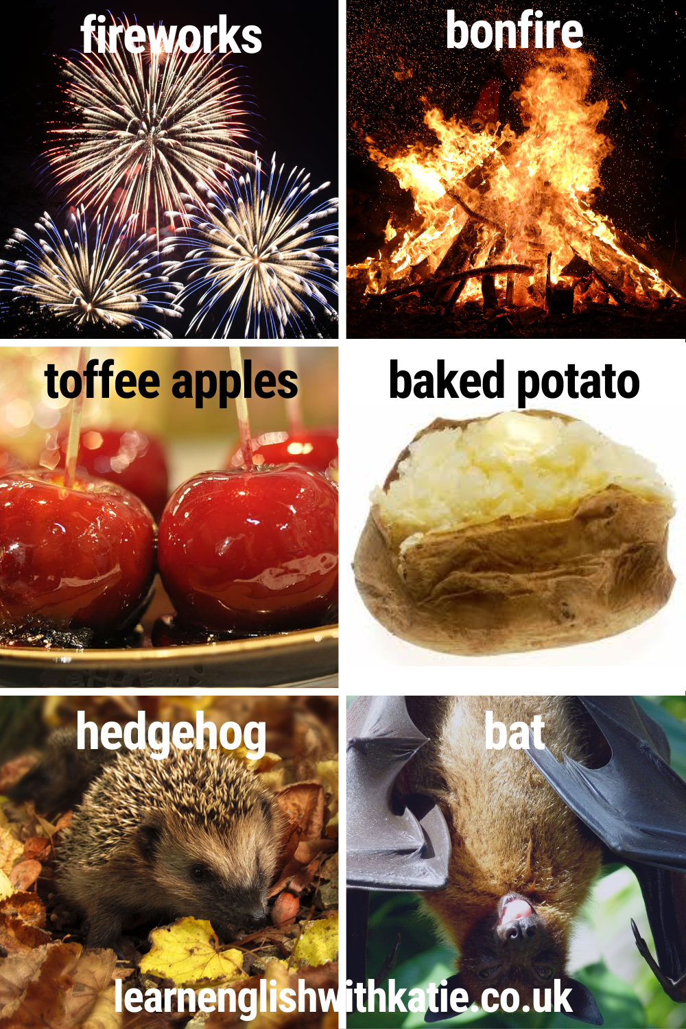Picture dictionary showing fireworks, bonfire, toffee apples, baked potato, a hedgehog and a bat