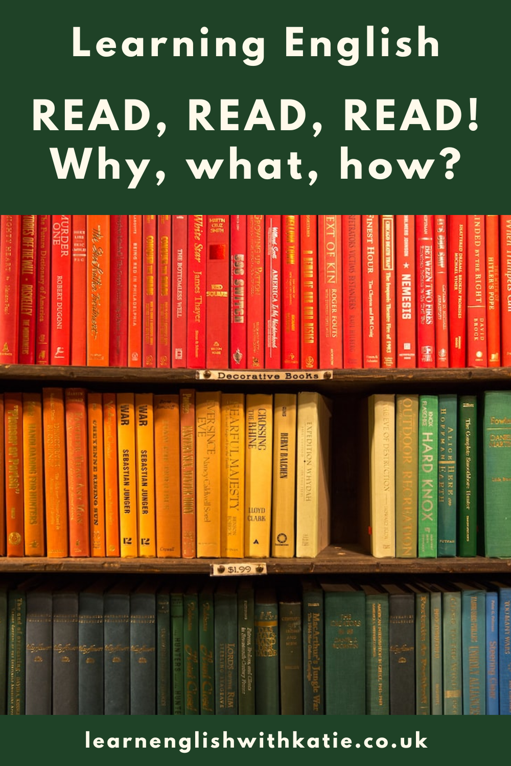 Pinterest pin showing image of colourful books. Text says: read, read, read. Why, what, how?