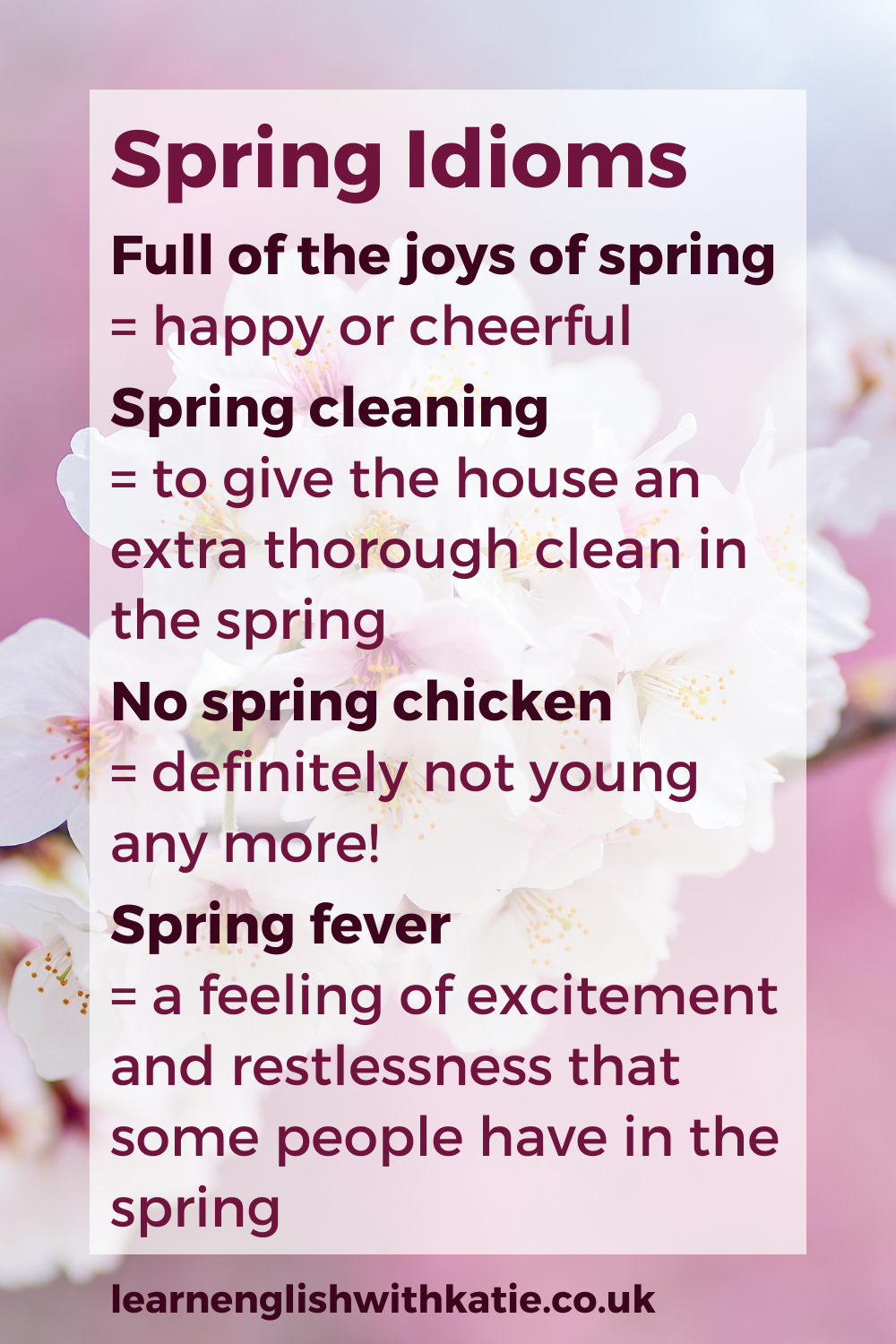 Pinterest pin for spring idioms