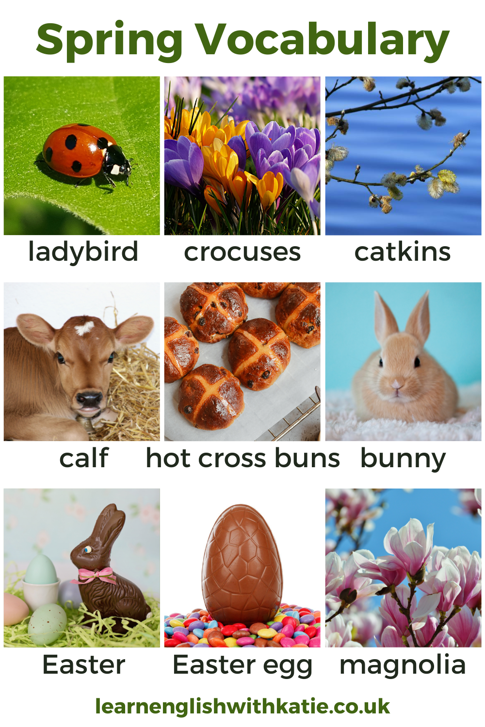 spring vocabulary picture dictionary for Pinterest