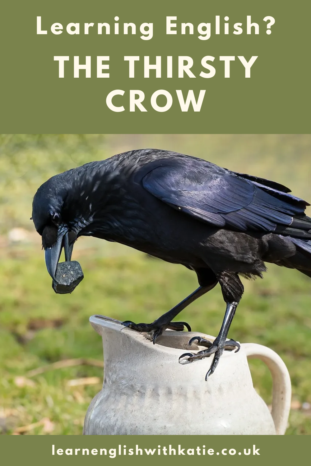 Pinterest pin showing AI generated image of a crow dropping a stone into a jug.