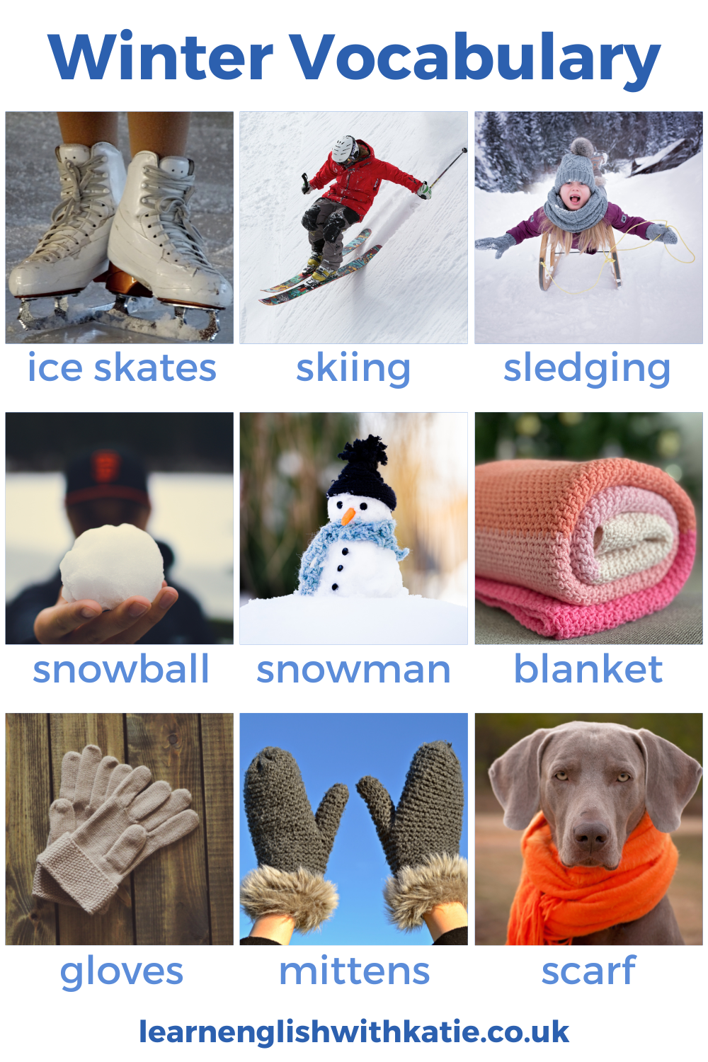 Pinterest pin showing picture dictionary for winter vocabulary.